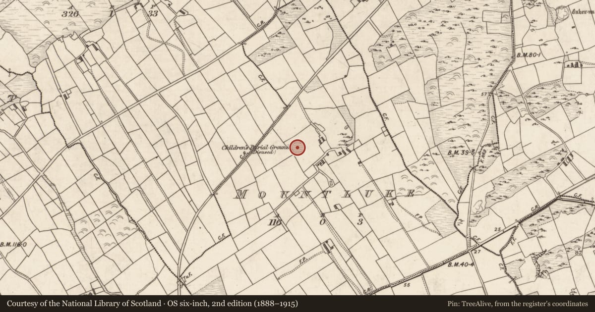 Ordnance Survey six-inch map, 2nd edition (1888–1915) covering the location of Children's burial ground, Mountluke, County Kerry, with a pin at the register's coordinates