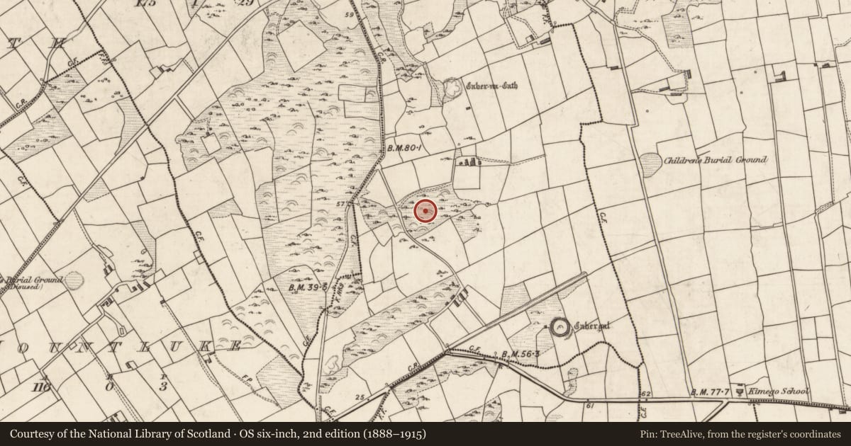 Ordnance Survey six-inch map, 2nd edition (1888–1915) covering the location of Metalworking site, Kimego West, County Kerry, with a pin at the register's coordinates