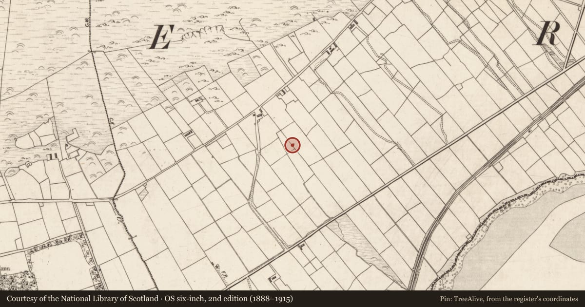 Ordnance Survey six-inch map, 2nd edition (1888–1915) covering the location of Well, Cloghanelinaghan, County Kerry, with a pin at the register's coordinates
