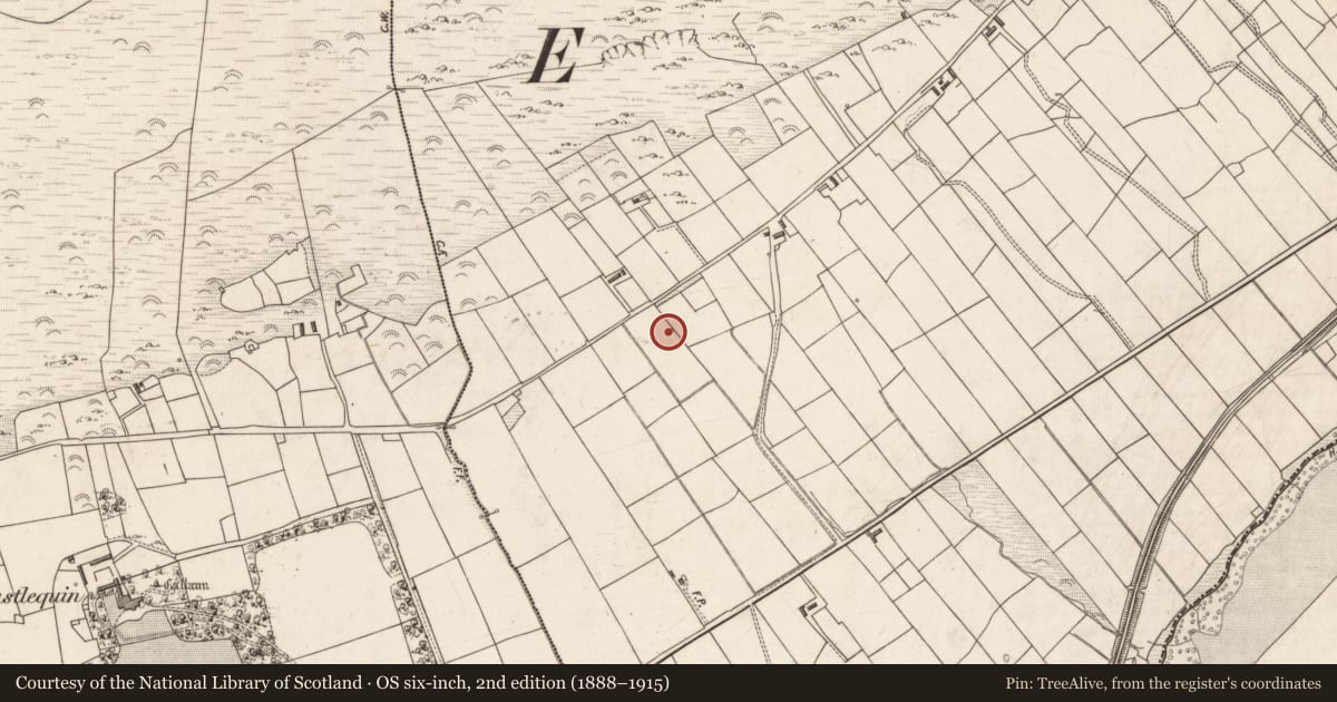 Ordnance Survey six-inch map, 2nd edition (1888–1915) covering the location of Well, Cloghanelinaghan, County Kerry, with a pin at the register's coordinates