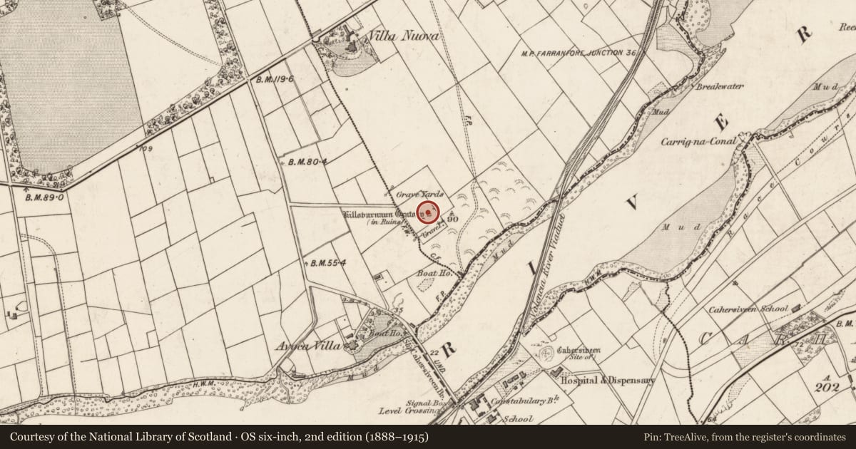 Ordnance Survey six-inch map, 2nd edition (1888–1915) covering the location of Church, Cloghanelinaghan, County Kerry, with a pin at the register's coordinates