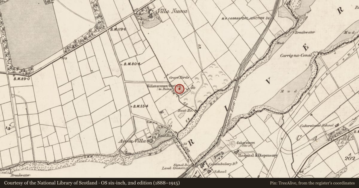 Ordnance Survey six-inch map, 2nd edition (1888–1915) covering the location of Graveyard, Cloghanelinaghan, County Kerry, with a pin at the register's coordinates