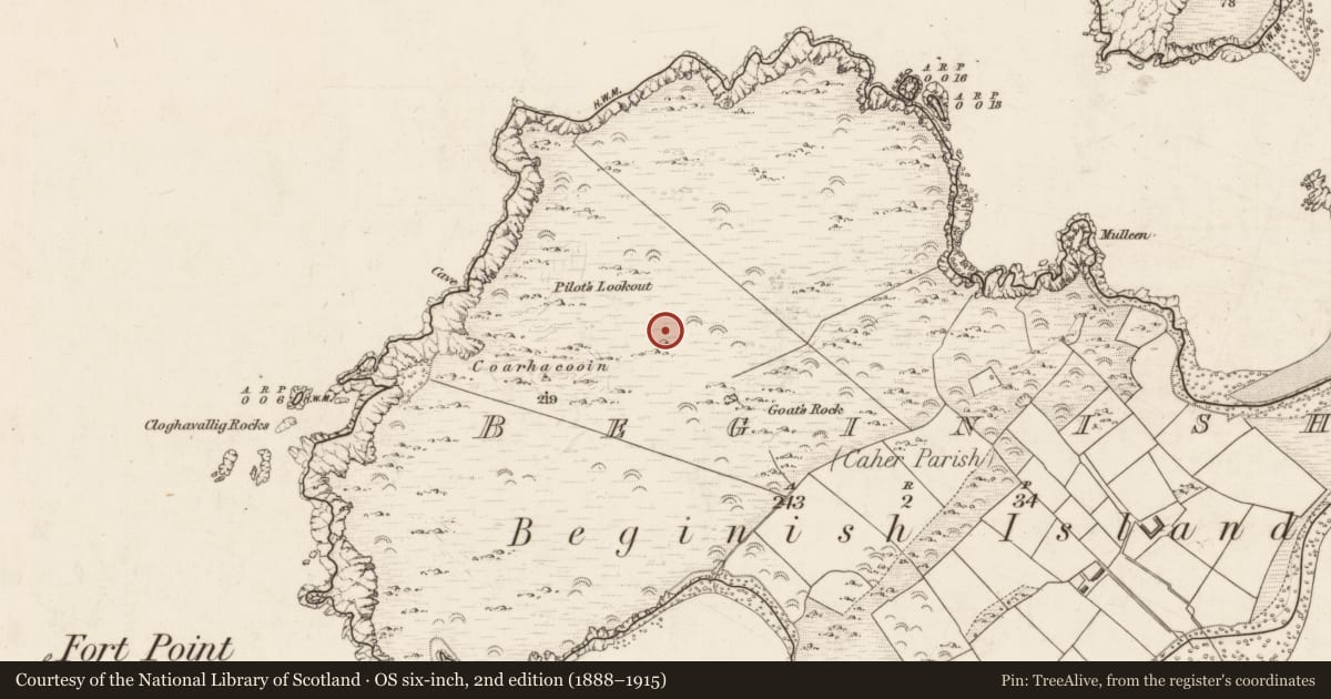 Ordnance Survey six-inch map, 2nd edition (1888–1915) covering the location of Field system, Beginish, County Kerry, with a pin at the register's coordinates