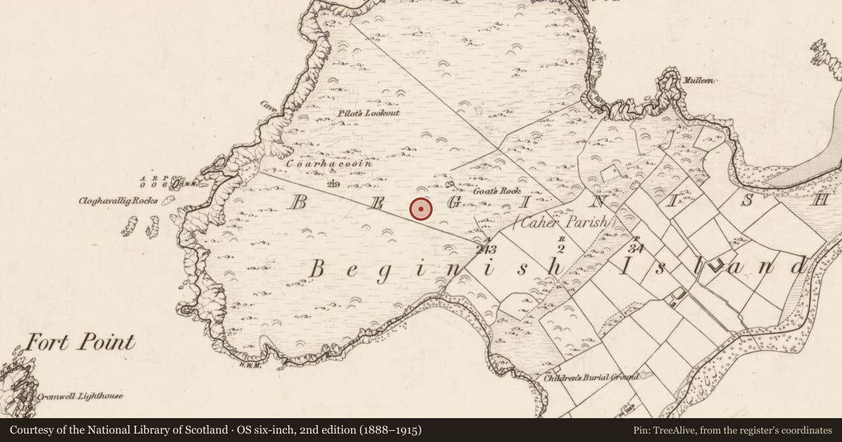 Ordnance Survey six-inch map, 2nd edition (1888–1915) covering the location of Hut site, Beginish, County Kerry, with a pin at the register's coordinates