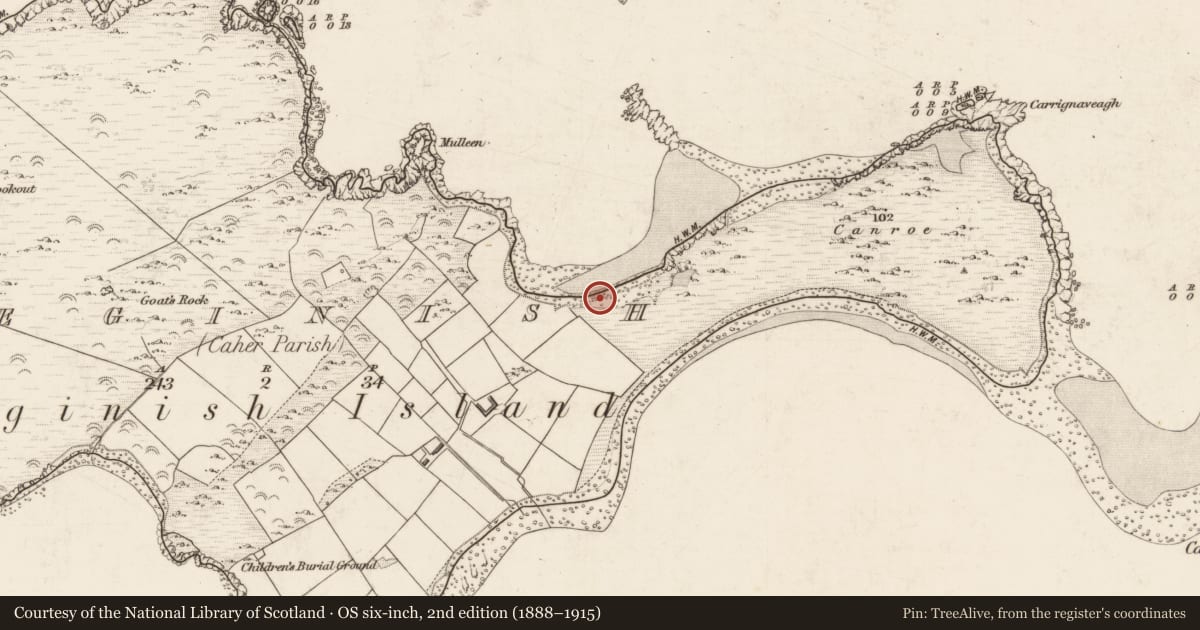 Ordnance Survey six-inch map, 2nd edition (1888–1915) covering the location of Midden, Beginish, County Kerry, with a pin at the register's coordinates