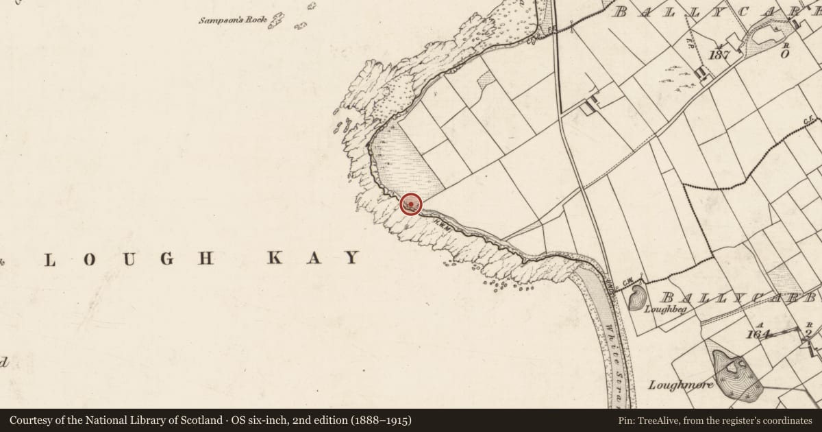 Ordnance Survey six-inch map, 2nd edition (1888–1915) covering the location of Megalithic tomb - wedge tomb, Ballycarbery West, County Kerry, with a pin at the register's coordinates