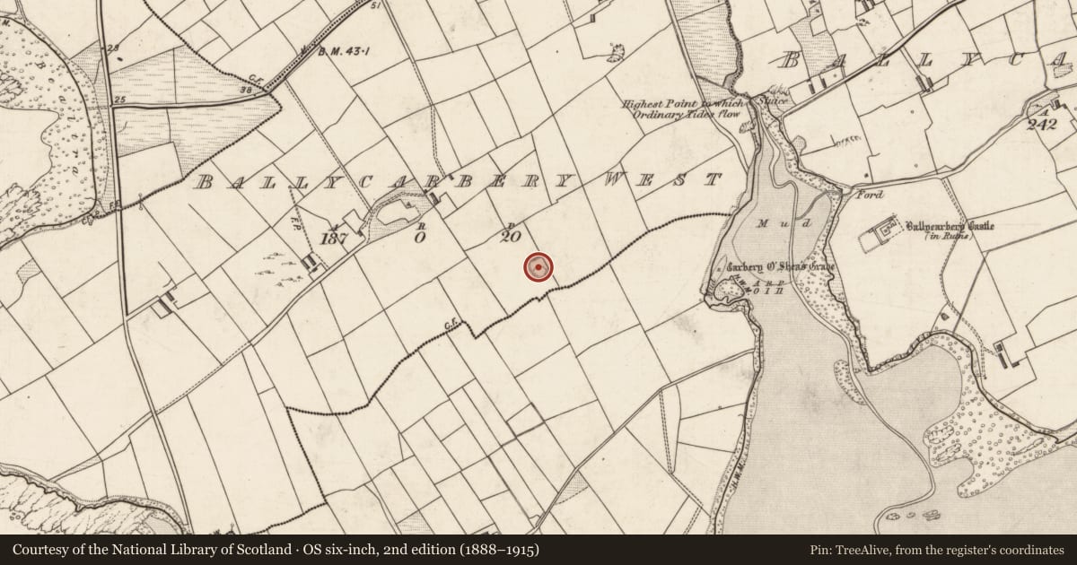 Ordnance Survey six-inch map, 2nd edition (1888–1915) covering the location of Ringfort - rath, Ballycarbery West, County Kerry, with a pin at the register's coordinates