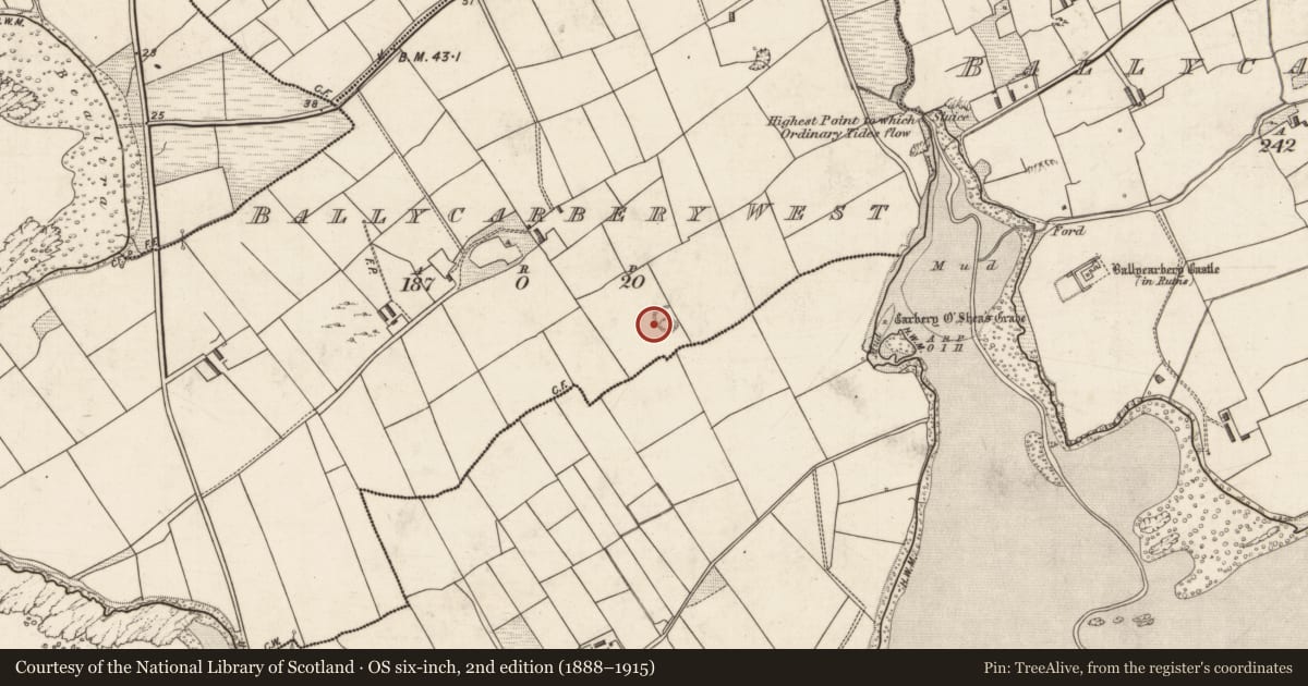 Ordnance Survey six-inch map, 2nd edition (1888–1915) covering the location of Souterrain, Ballycarbery West, County Kerry, with a pin at the register's coordinates