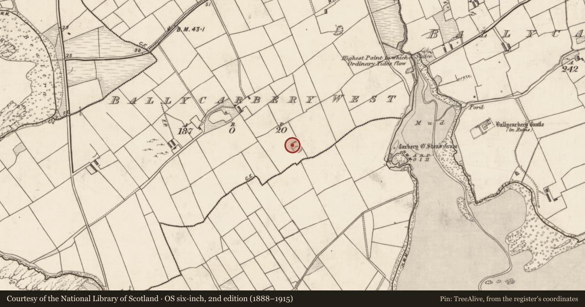 Ordnance Survey six-inch map, 2nd edition (1888–1915) covering the location of Hut site, Ballycarbery West, County Kerry, with a pin at the register's coordinates