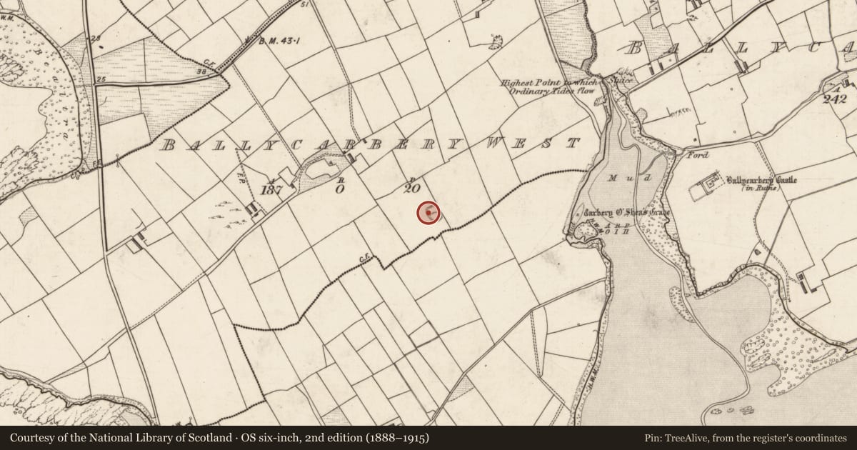 Ordnance Survey six-inch map, 2nd edition (1888–1915) covering the location of Hut site, Ballycarbery West, County Kerry, with a pin at the register's coordinates