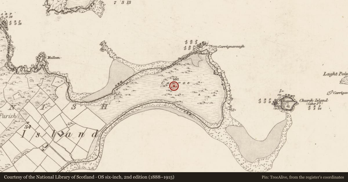 Ordnance Survey six-inch map, 2nd edition (1888–1915) covering the location of Field system, Beginish, County Kerry, with a pin at the register's coordinates