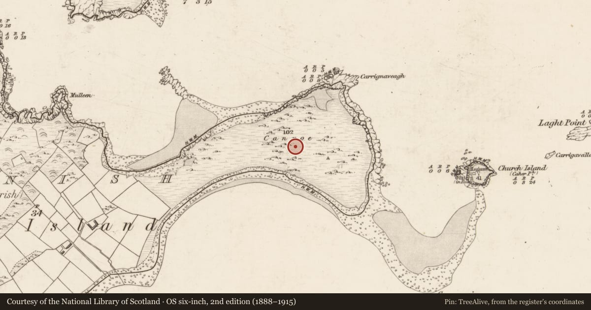 Ordnance Survey six-inch map, 2nd edition (1888–1915) covering the location of Cairn - clearance cairn, Beginish, County Kerry, with a pin at the register's coordinates