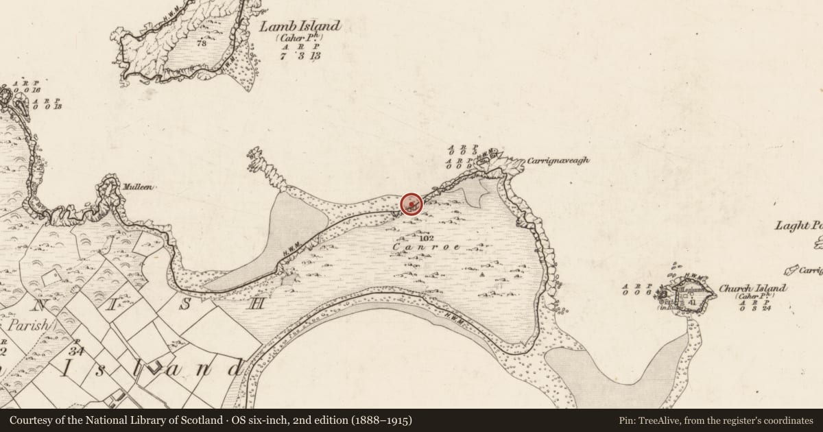 Ordnance Survey six-inch map, 2nd edition (1888–1915) covering the location of Midden, Beginish, County Kerry, with a pin at the register's coordinates