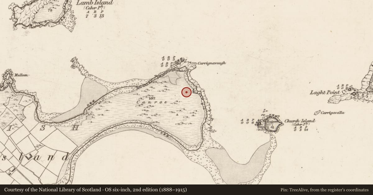 Ordnance Survey six-inch map, 2nd edition (1888–1915) covering the location of House - early medieval, Beginish, County Kerry, with a pin at the register's coordinates