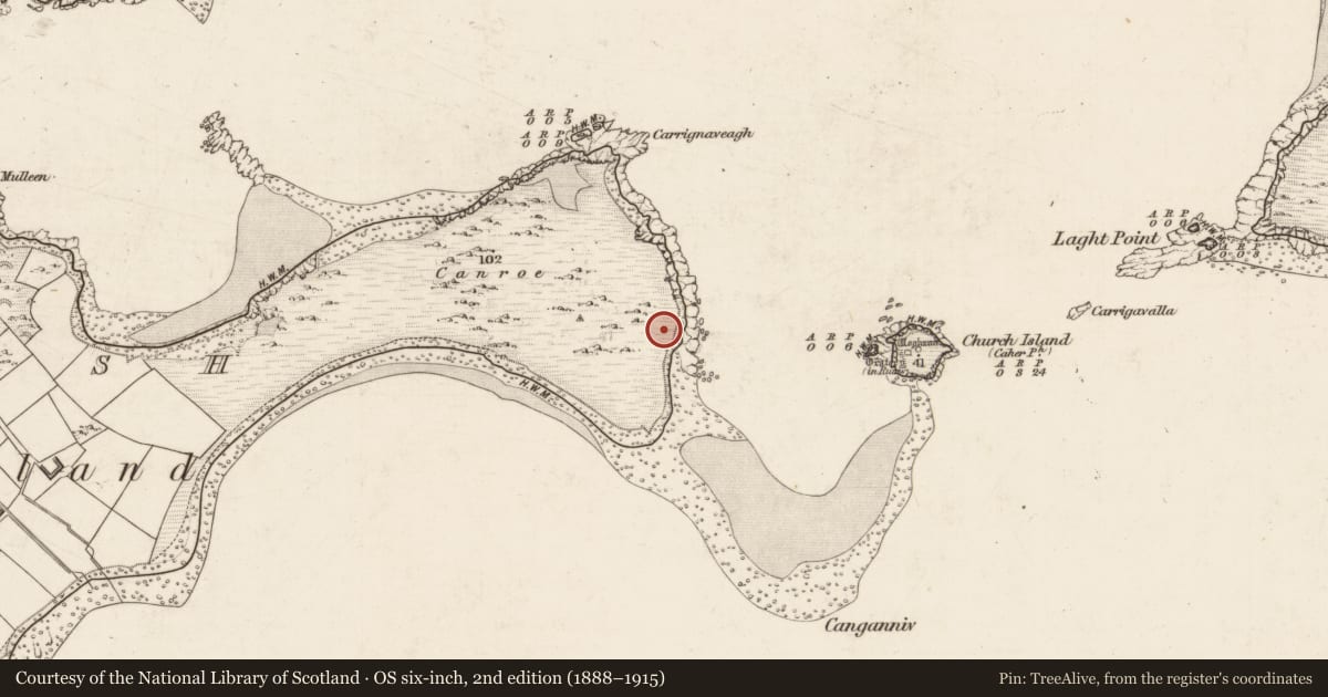 Ordnance Survey six-inch map, 2nd edition (1888–1915) covering the location of House - early medieval, Beginish, County Kerry, with a pin at the register's coordinates