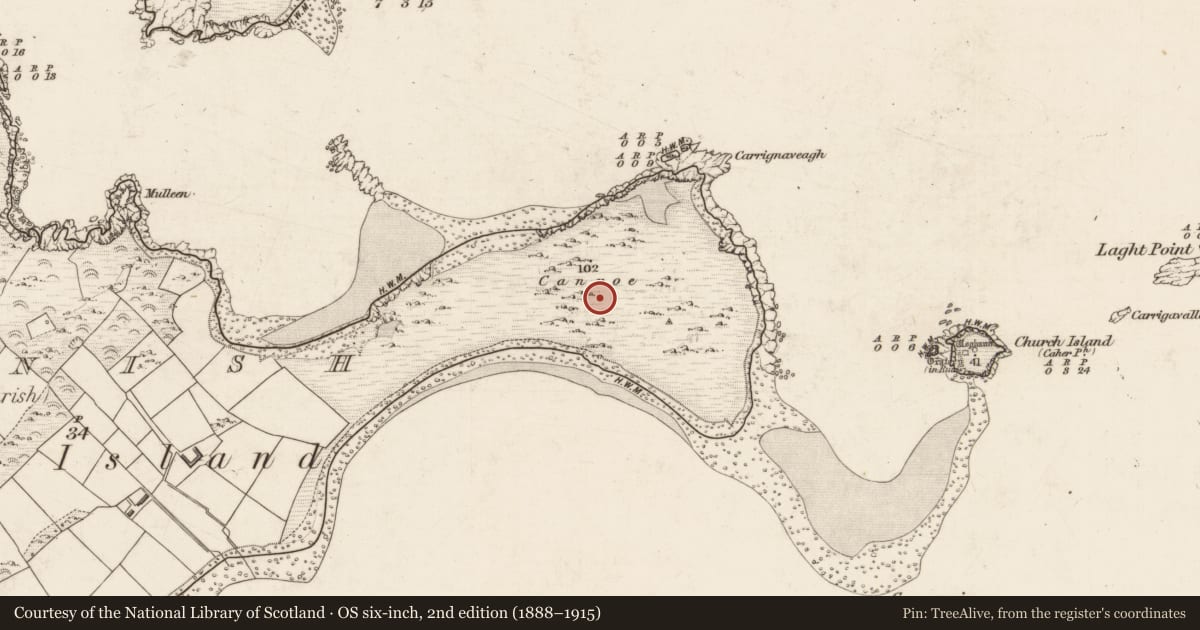 Ordnance Survey six-inch map, 2nd edition (1888–1915) covering the location of House - early medieval, Beginish, County Kerry, with a pin at the register's coordinates