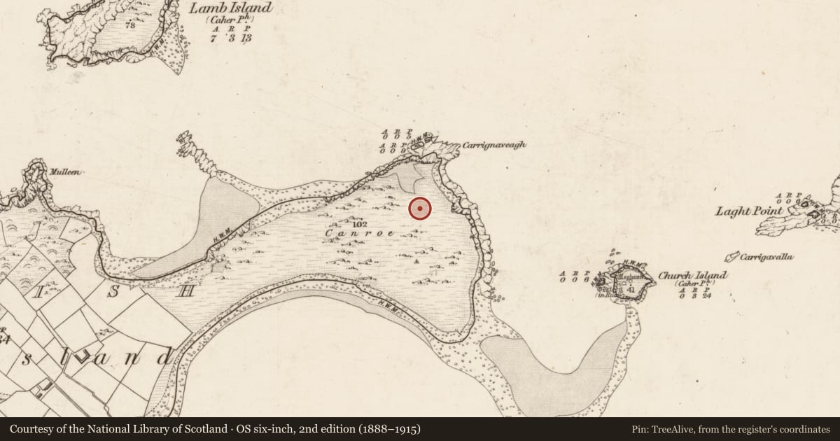 Ordnance Survey six-inch map, 2nd edition (1888–1915) covering the location of House - Viking/Hiberno-Norse, Beginish, County Kerry, with a pin at the register's coordinates