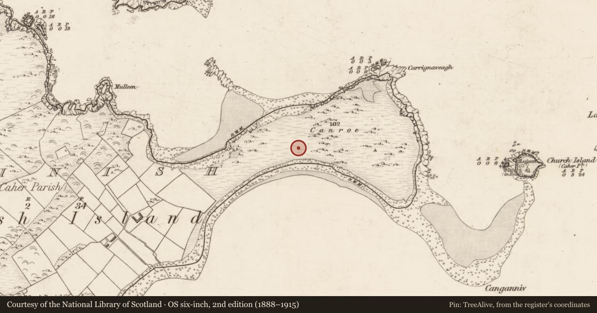 Ordnance Survey six-inch map, 2nd edition (1888–1915) covering the location of House - Viking/Hiberno-Norse, Beginish, County Kerry, with a pin at the register's coordinates