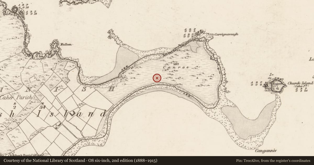 Ordnance Survey six-inch map, 2nd edition (1888–1915) covering the location of House - Viking/Hiberno-Norse, Beginish, County Kerry, with a pin at the register's coordinates