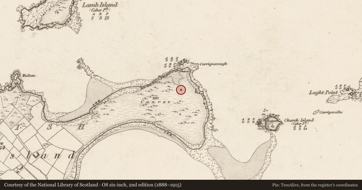 Ordnance Survey six-inch map, 2nd edition (1888–1915) covering the location of House - early medieval, Beginish, County Kerry, with a pin at the register's coordinates