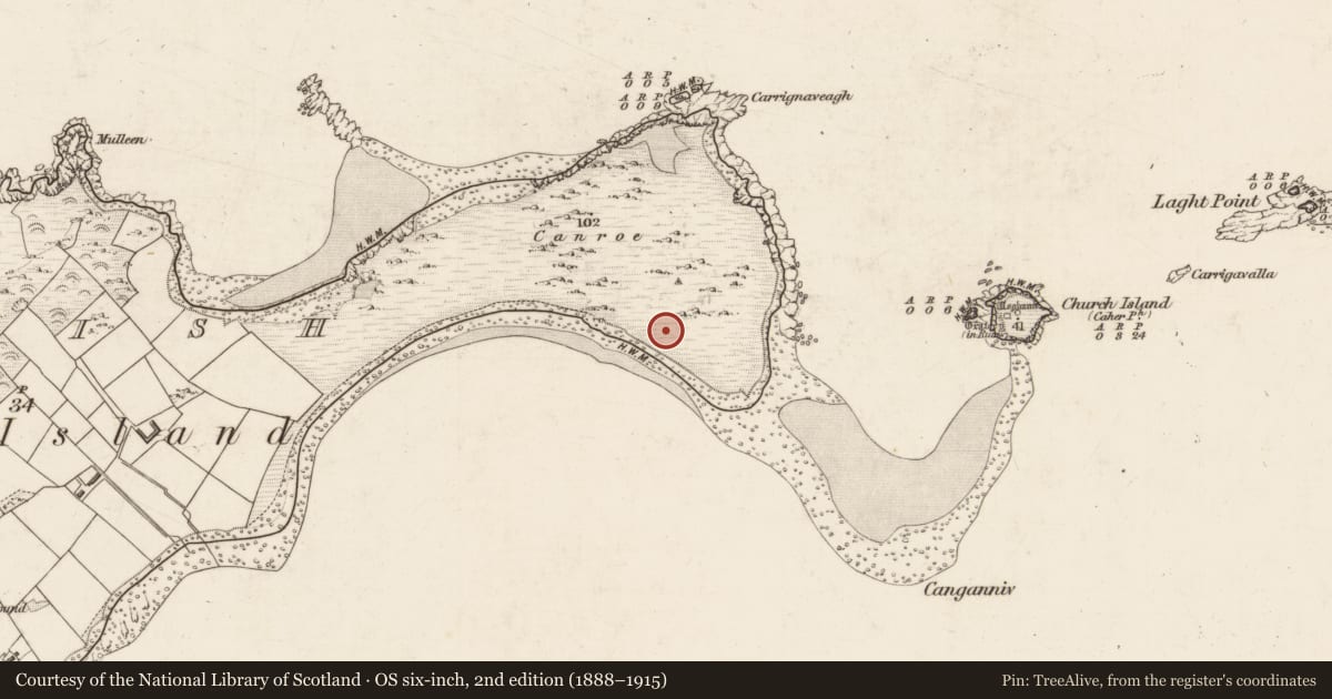 Ordnance Survey six-inch map, 2nd edition (1888–1915) covering the location of Cairn - clearance cairn, Beginish, County Kerry, with a pin at the register's coordinates