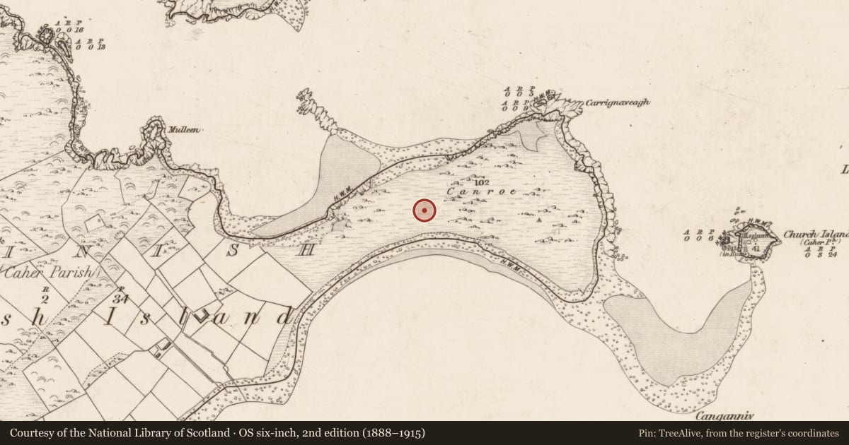 Ordnance Survey six-inch map, 2nd edition (1888–1915) covering the location of Cairn - clearance cairn, Beginish, County Kerry, with a pin at the register's coordinates