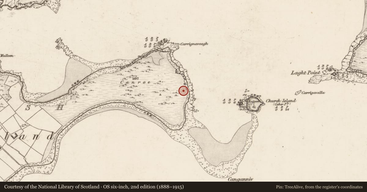 Ordnance Survey six-inch map, 2nd edition (1888–1915) covering the location of Cairn - clearance cairn, Beginish, County Kerry, with a pin at the register's coordinates