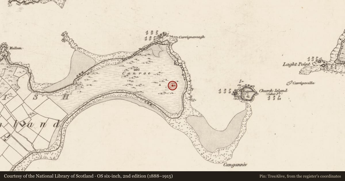 Ordnance Survey six-inch map, 2nd edition (1888–1915) covering the location of Cairn - clearance cairn, Beginish, County Kerry, with a pin at the register's coordinates