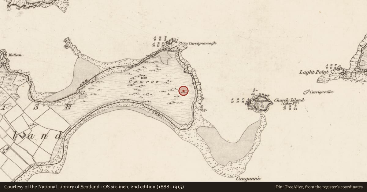 Ordnance Survey six-inch map, 2nd edition (1888–1915) covering the location of Cairn - clearance cairn, Beginish, County Kerry, with a pin at the register's coordinates