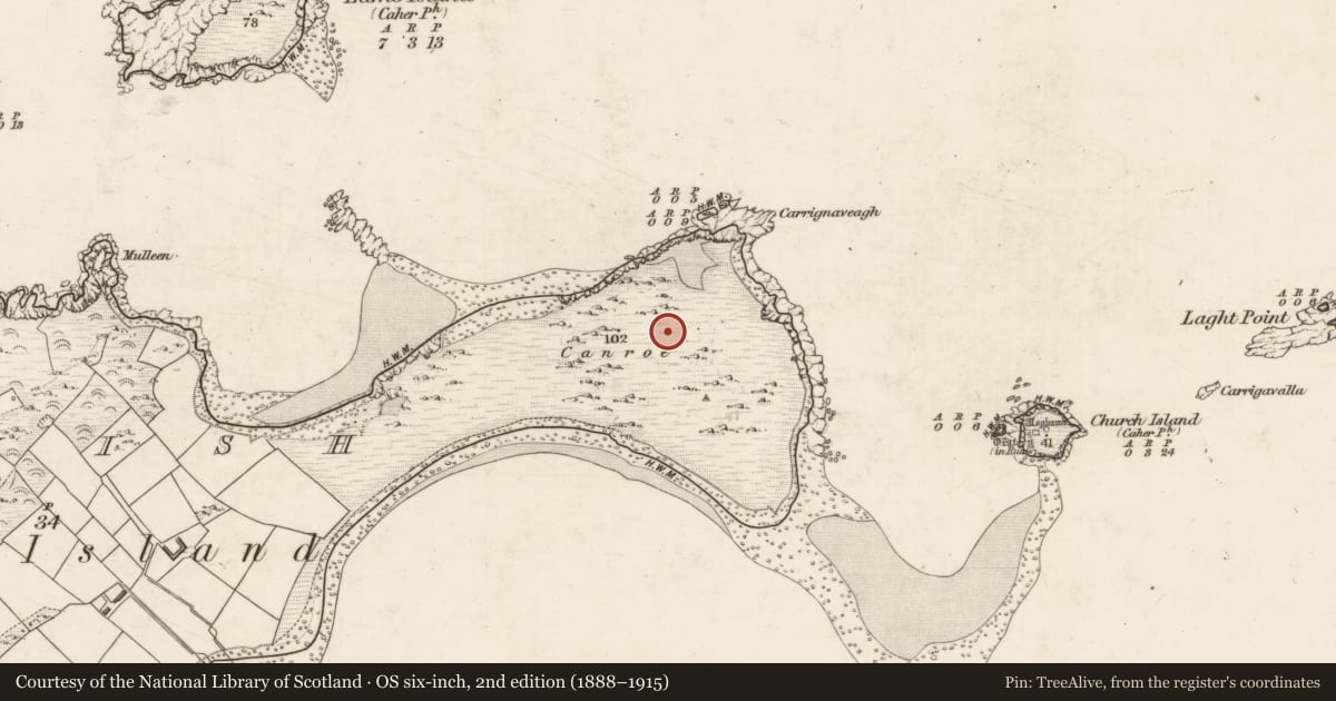 Ordnance Survey six-inch map, 2nd edition (1888–1915) covering the location of Cairn - clearance cairn, Beginish, County Kerry, with a pin at the register's coordinates
