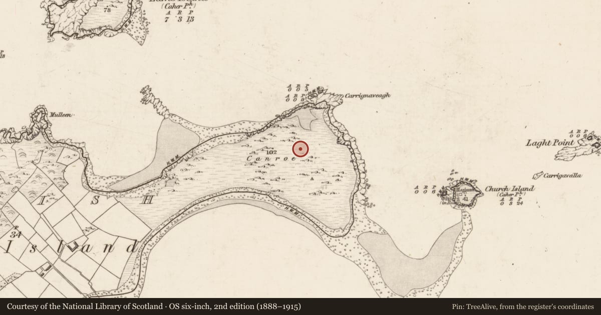 Ordnance Survey six-inch map, 2nd edition (1888–1915) covering the location of Cairn - clearance cairn, Beginish, County Kerry, with a pin at the register's coordinates