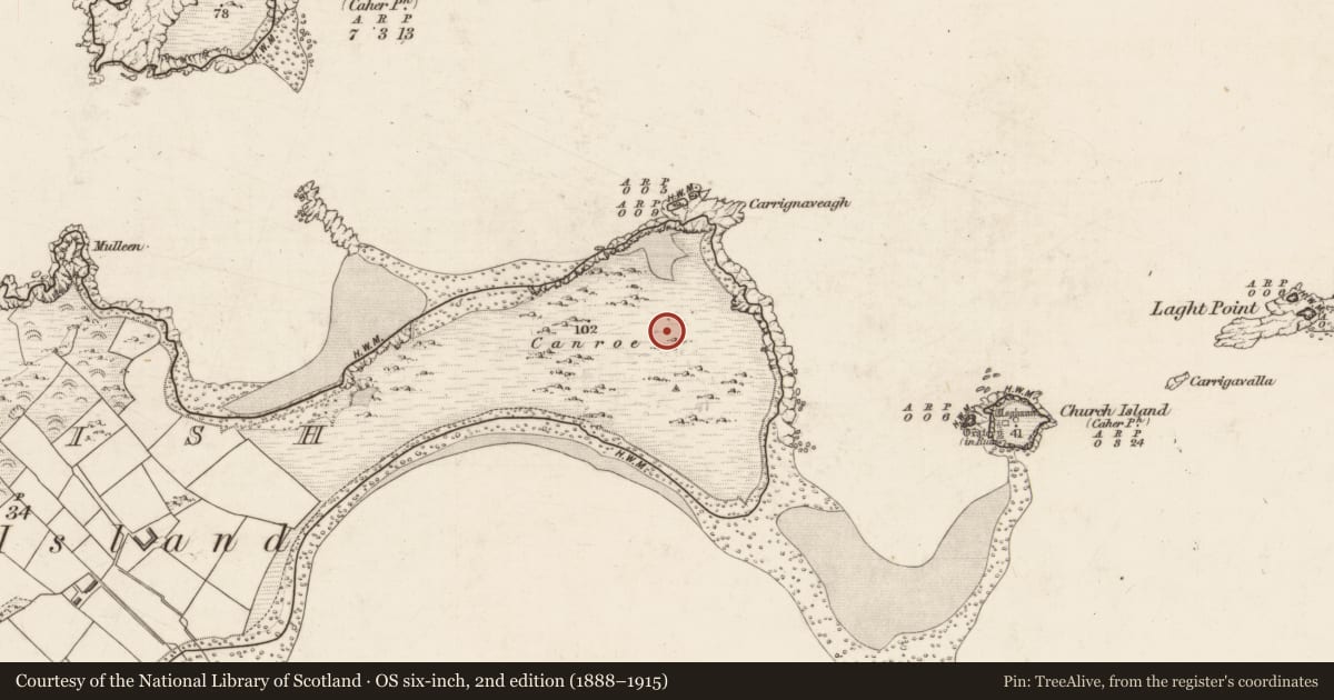 Ordnance Survey six-inch map, 2nd edition (1888–1915) covering the location of Cairn - clearance cairn, Beginish, County Kerry, with a pin at the register's coordinates
