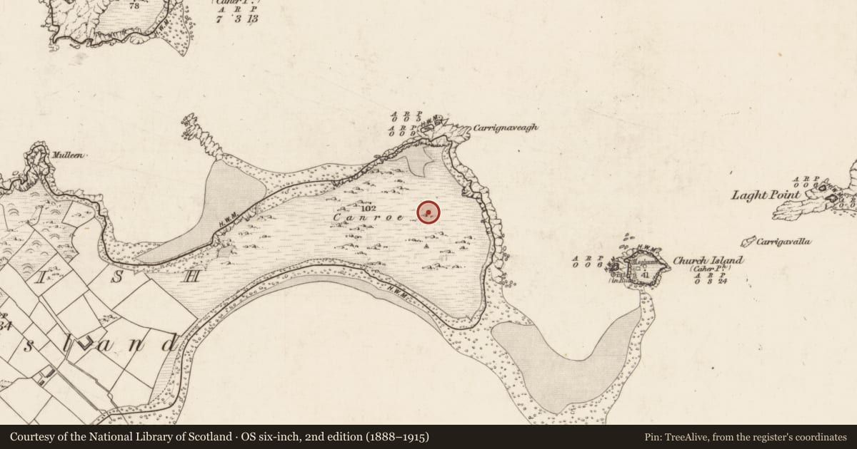 Ordnance Survey six-inch map, 2nd edition (1888–1915) covering the location of Cairn - clearance cairn, Beginish, County Kerry, with a pin at the register's coordinates