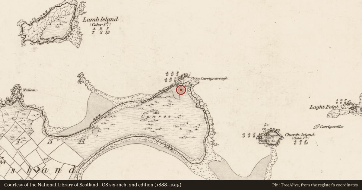 Ordnance Survey six-inch map, 2nd edition (1888–1915) covering the location of Cairn - clearance cairn, Beginish, County Kerry, with a pin at the register's coordinates
