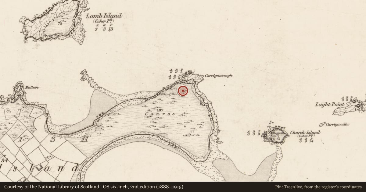 Ordnance Survey six-inch map, 2nd edition (1888–1915) covering the location of Cairn - clearance cairn, Beginish, County Kerry, with a pin at the register's coordinates