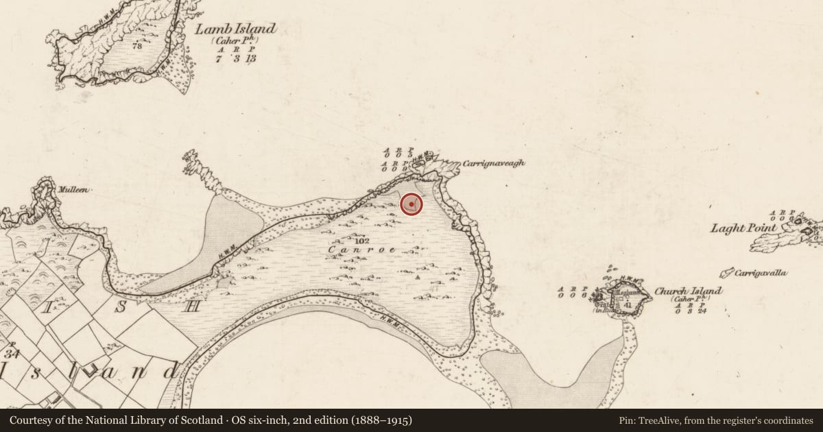 Ordnance Survey six-inch map, 2nd edition (1888–1915) covering the location of Cairn - clearance cairn, Beginish, County Kerry, with a pin at the register's coordinates
