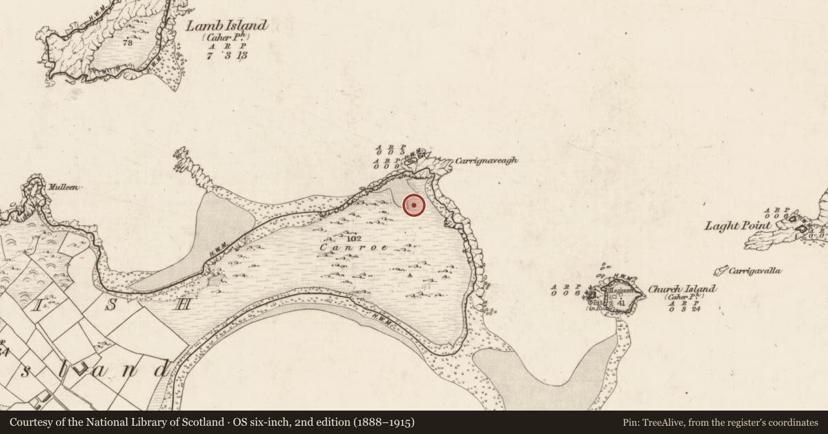 Ordnance Survey six-inch map, 2nd edition (1888–1915) covering the location of Cairn - clearance cairn, Beginish, County Kerry, with a pin at the register's coordinates