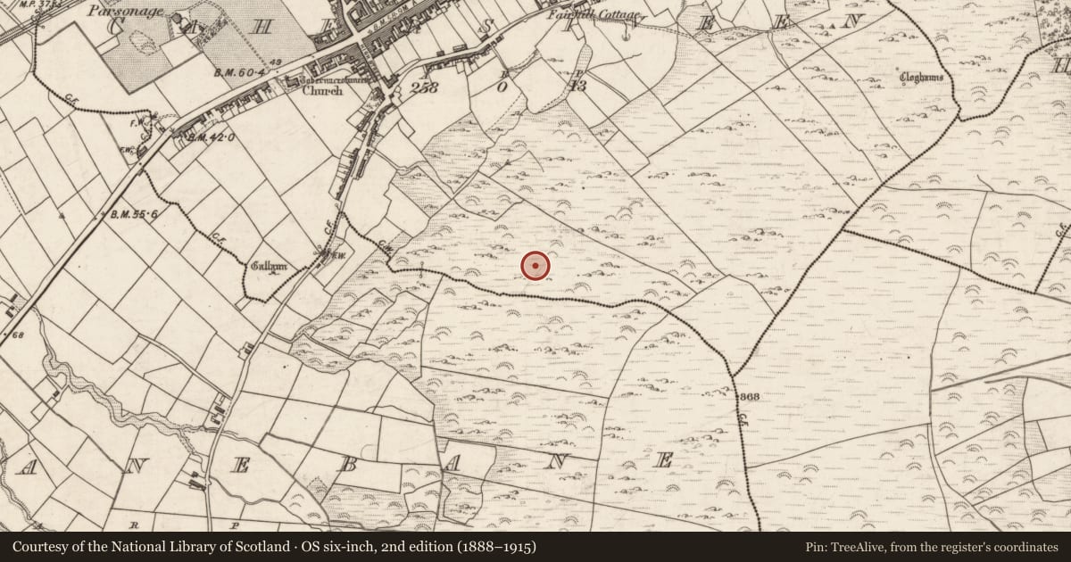 Ordnance Survey six-inch map, 2nd edition (1888–1915) covering the location of Hut site, Cahersiveen, County Kerry, with a pin at the register's coordinates