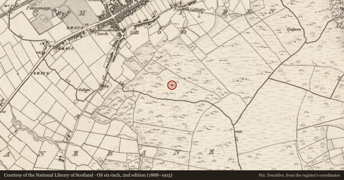 Ordnance Survey six-inch map, 2nd edition (1888–1915) covering the location of Field system, Cahersiveen, County Kerry, with a pin at the register's coordinates
