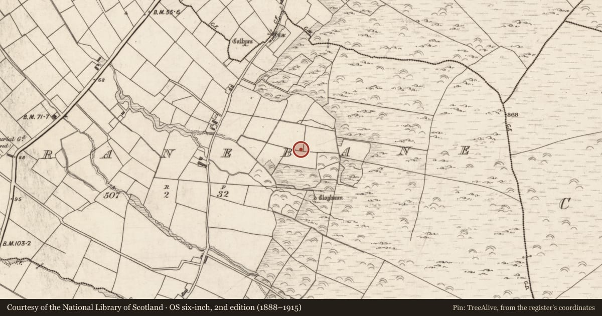Ordnance Survey six-inch map, 2nd edition (1888–1915) covering the location of Ringfort - cashel, Garranebane, County Kerry, with a pin at the register's coordinates