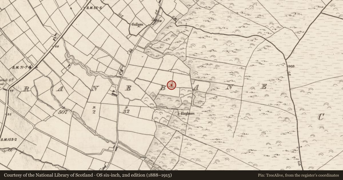 Ordnance Survey six-inch map, 2nd edition (1888–1915) covering the location of Hut site, Garranebane, County Kerry, with a pin at the register's coordinates