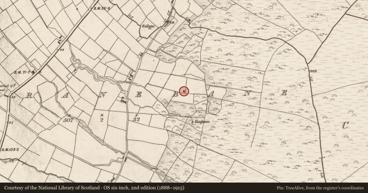 Ordnance Survey six-inch map, 2nd edition (1888–1915) covering the location of Hut site, Garranebane, County Kerry, with a pin at the register's coordinates