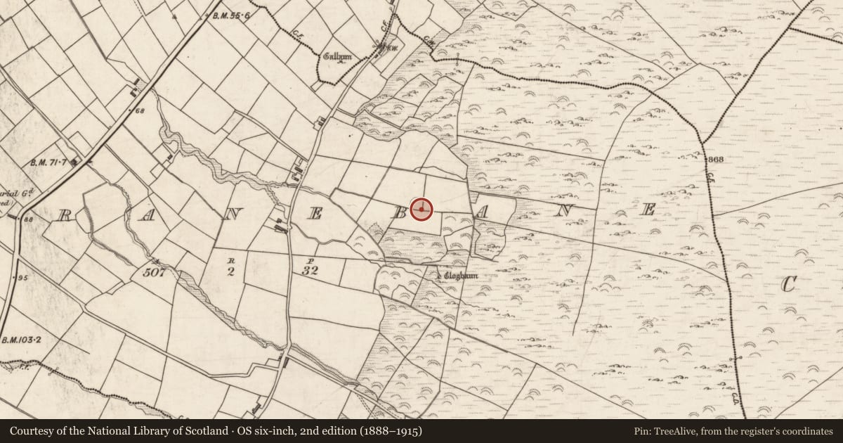 Ordnance Survey six-inch map, 2nd edition (1888–1915) covering the location of Hut site, Garranebane, County Kerry, with a pin at the register's coordinates