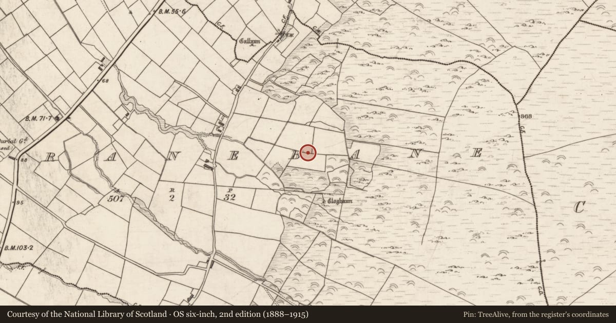 Ordnance Survey six-inch map, 2nd edition (1888–1915) covering the location of Hut site, Garranebane, County Kerry, with a pin at the register's coordinates