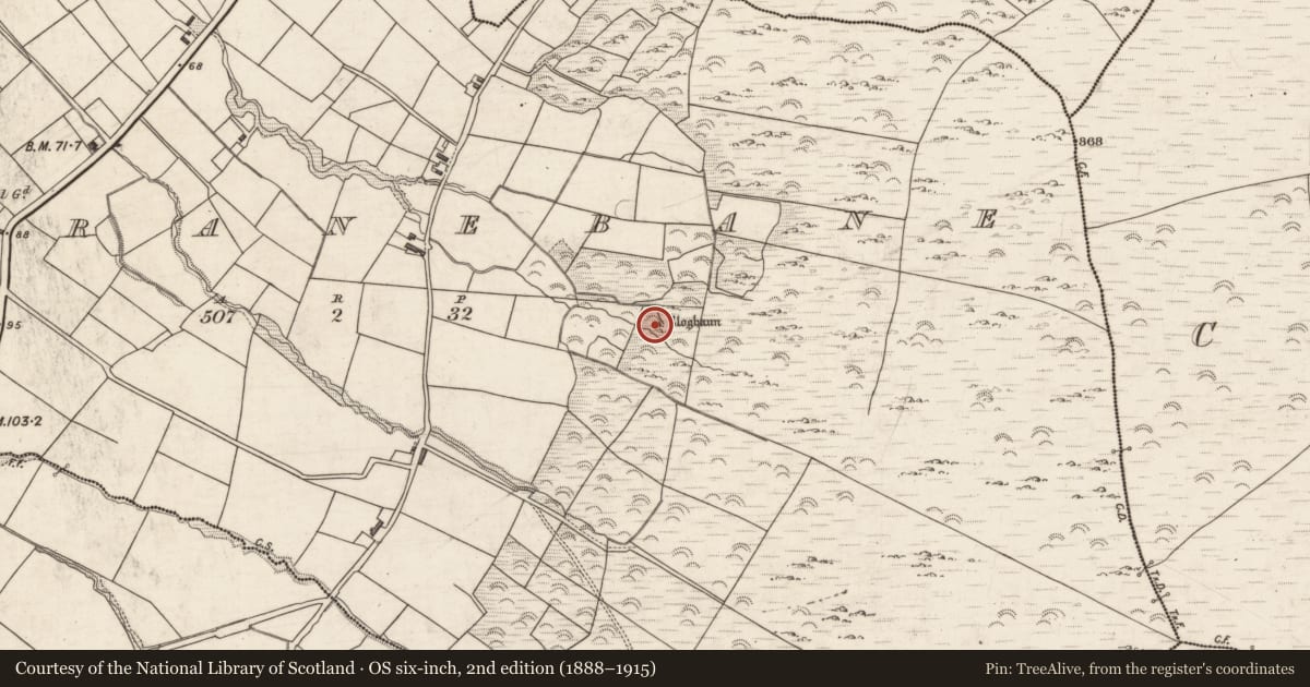 Ordnance Survey six-inch map, 2nd edition (1888–1915) covering the location of Hut site, Garranebane, County Kerry, with a pin at the register's coordinates