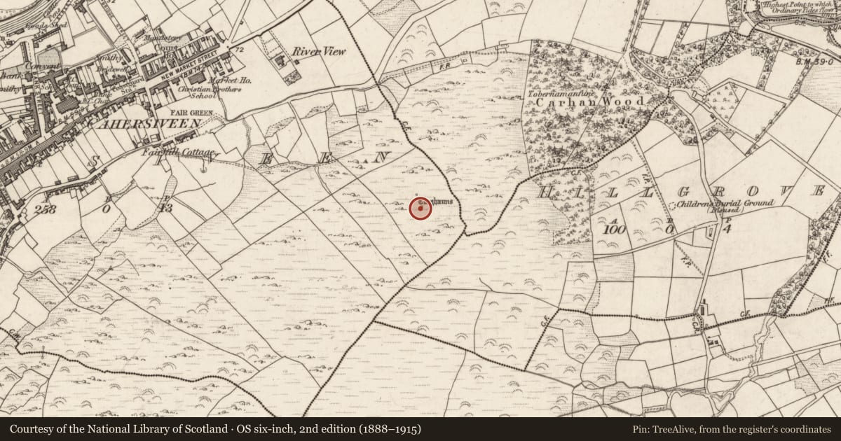 Ordnance Survey six-inch map, 2nd edition (1888–1915) covering the location of Hut site, Cahersiveen, County Kerry, with a pin at the register's coordinates