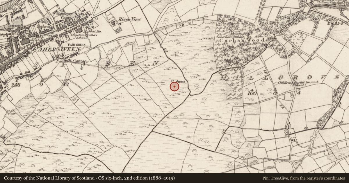 Ordnance Survey six-inch map, 2nd edition (1888–1915) covering the location of Field system, Cahersiveen, County Kerry, with a pin at the register's coordinates