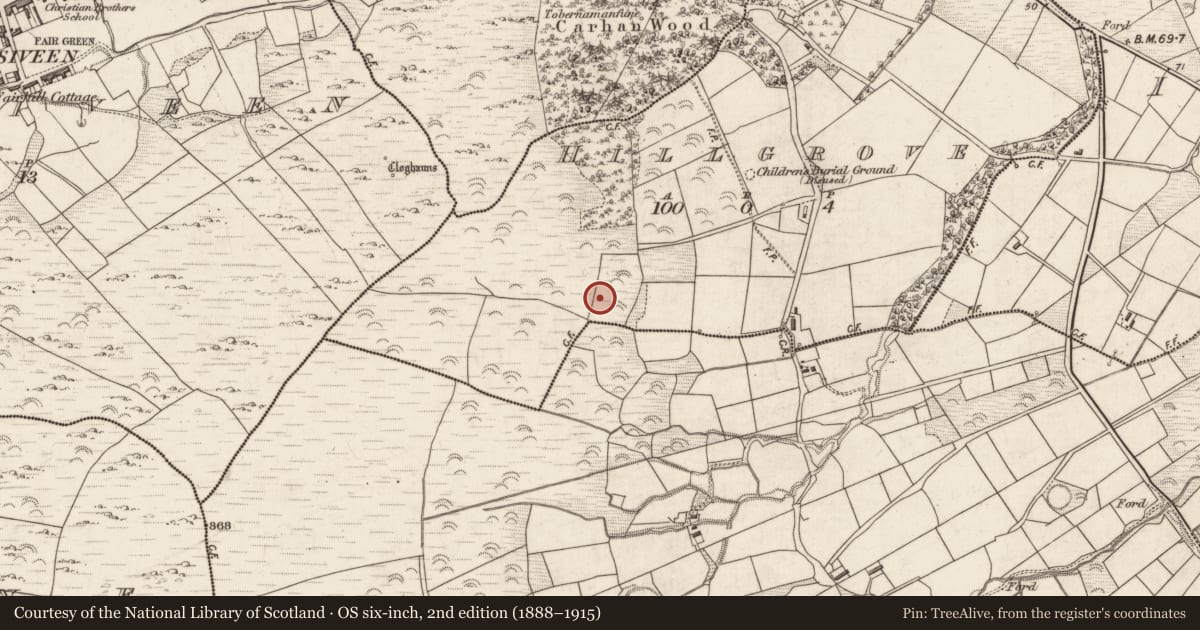 Ordnance Survey six-inch map, 2nd edition (1888–1915) covering the location of Souterrain, Hillgrove, County Kerry, with a pin at the register's coordinates