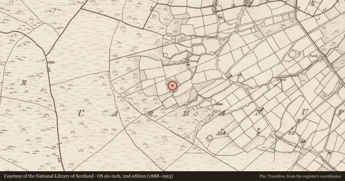 Ordnance Survey six-inch map, 2nd edition (1888–1915) covering the location of Ringfort - rath, Carhan Upper, County Kerry, with a pin at the register's coordinates