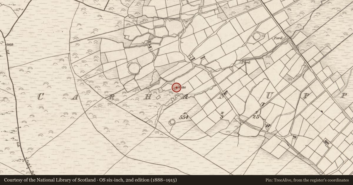Ordnance Survey six-inch map, 2nd edition (1888–1915) covering the location of Souterrain, Carhan Upper, County Kerry, with a pin at the register's coordinates